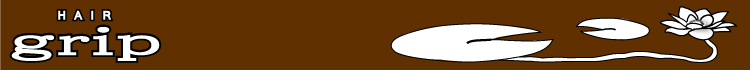 ���e�� HAIR grip�ق��Ƙa�ނЂƎ����߉��s�̖����n�T����
